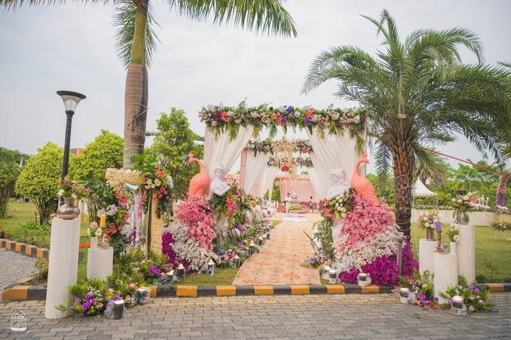 Backdrop framed by palms
